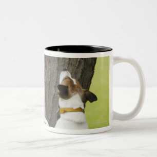 Caneca De Café Em Dois Tons Jardins botânicos, Sydney, Novo Gales do Sul, 4
