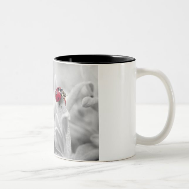 Caneca De Café Em Dois Tons Joaninha (Direita)