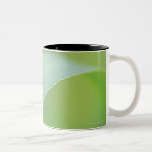 Caneca De Café Em Dois Tons Joaninha de Brown