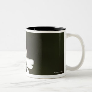 Caneca De Café Em Dois Tons Joaninha na flor da camomila