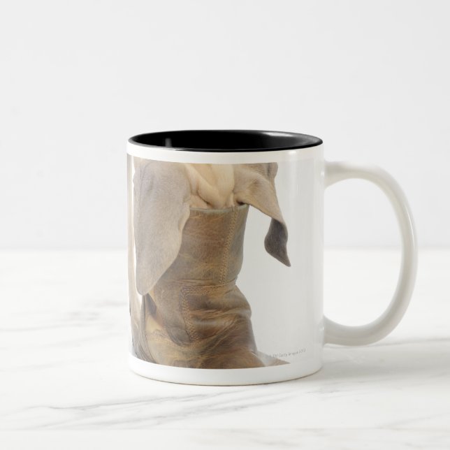 Caneca De Café Em Dois Tons jogo, amigável, curiosidade (Direita)