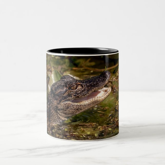 Caneca De Café Em Dois Tons Jovem Alligator (Centro)