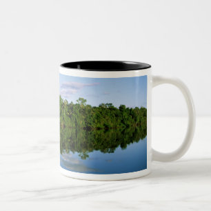Caneca De Café Em Dois Tons Juruena, Brasil. Margem florestada de rio refletid