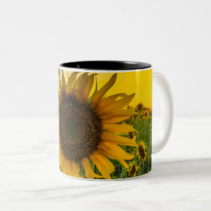 Caneca De Café Em Dois Tons Kansas Sunflower Field