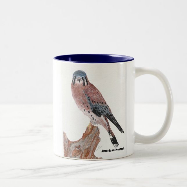 Caneca De Café Em Dois Tons Kestrel americano, Kestrel americano (Direita)