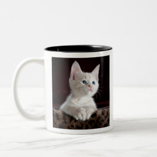 Caneca De Café Em Dois Tons kittens