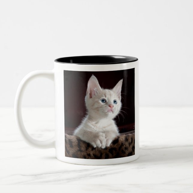 Caneca De Café Em Dois Tons kittens (Esquerda)
