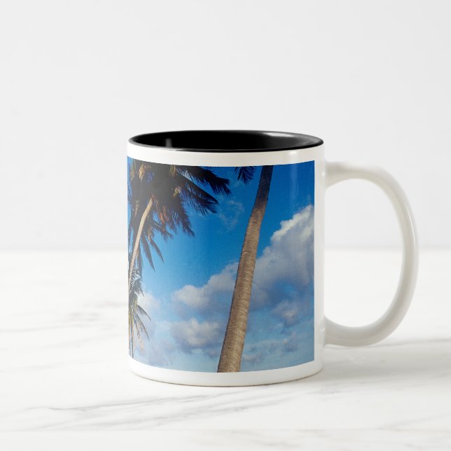 Caneca De Café Em Dois Tons La Samana Peninsula, República Dominicana, (Direita)