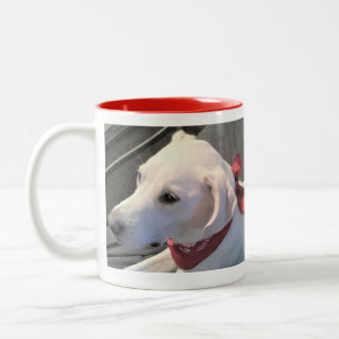 Caneca De Café Em Dois Tons Labrador Branco - Retriever Mix Dog Vestindo Scarf