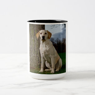 Caneca De Café Em Dois Tons Labrador Mug