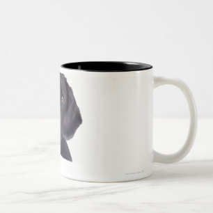 Caneca De Café Em Dois Tons Labrador preto 13 meses