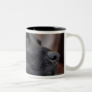 Caneca De Café Em Dois Tons Labrador preto adormecido no sofá, fim-acima