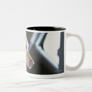 Caneca De Café Em Dois Tons Labrador retriever