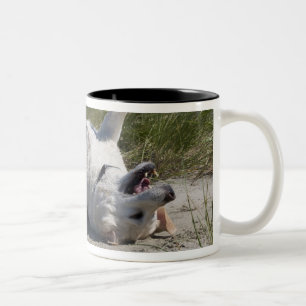 Caneca De Café Em Dois Tons Labrador retriever amarelo
