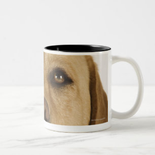 Caneca De Café Em Dois Tons Labrador retriever dourado (familiaris do Canis).