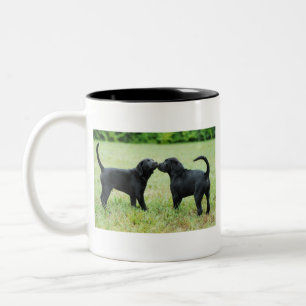 Caneca De Café Em Dois Tons Labrador retriever preto