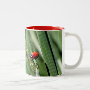 Caneca De Café Em Dois Tons Ladybug (Coccinellidae)