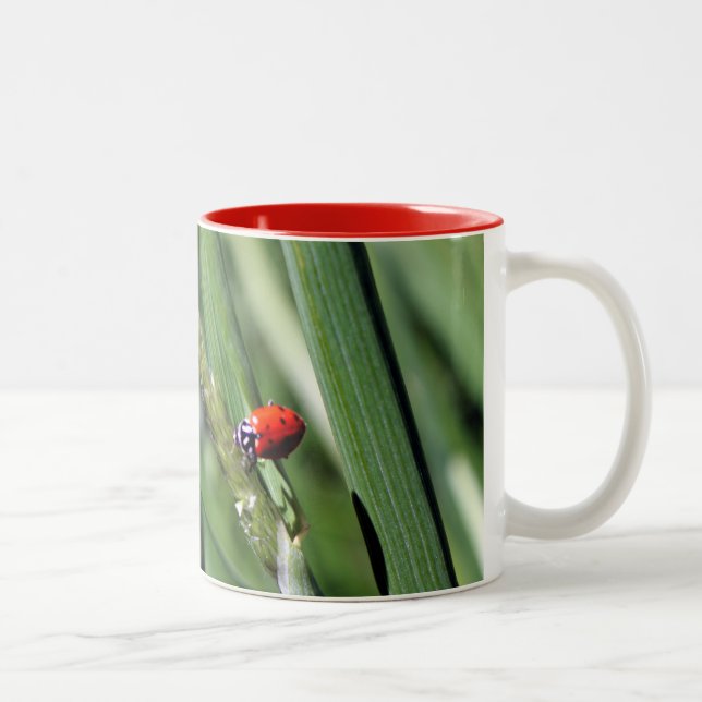 Caneca De Café Em Dois Tons Ladybug (Coccinellidae) (Direita)