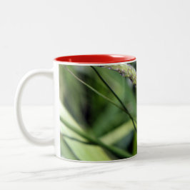 Caneca De Café Em Dois Tons Ladybug (Coccinellidae)
