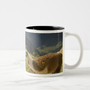 Caneca De Café Em Dois Tons Lamas e um olhar excedente de Machu Picchu,
