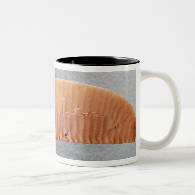 Caneca De Café Em Dois Tons Lâmina de faca (Direita)