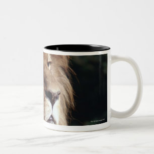 Caneca De Café Em Dois Tons leão