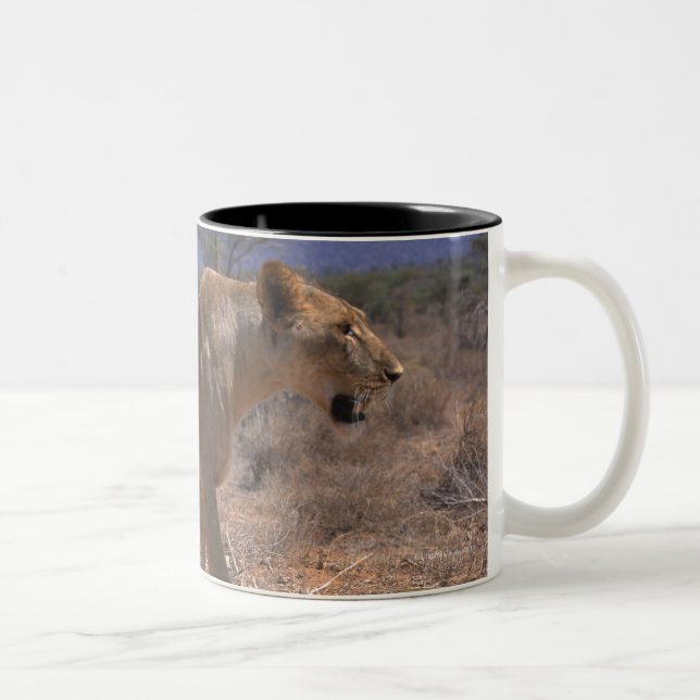Caneca De Café Em Dois Tons Leão 3 (Direita)