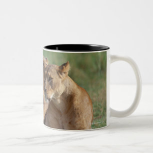 Caneca De Café Em Dois Tons Leão 5