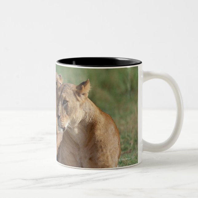 Caneca De Café Em Dois Tons Leão 5 (Direita)
