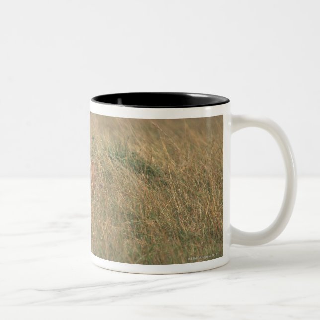 Caneca De Café Em Dois Tons Leão 9 (Direita)