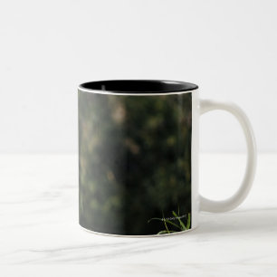 Caneca De Café Em Dois Tons Leão africano masculino no jardim zoológico em
