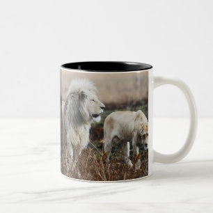 Caneca De Café Em Dois Tons Leão de África do Sul como o rei
