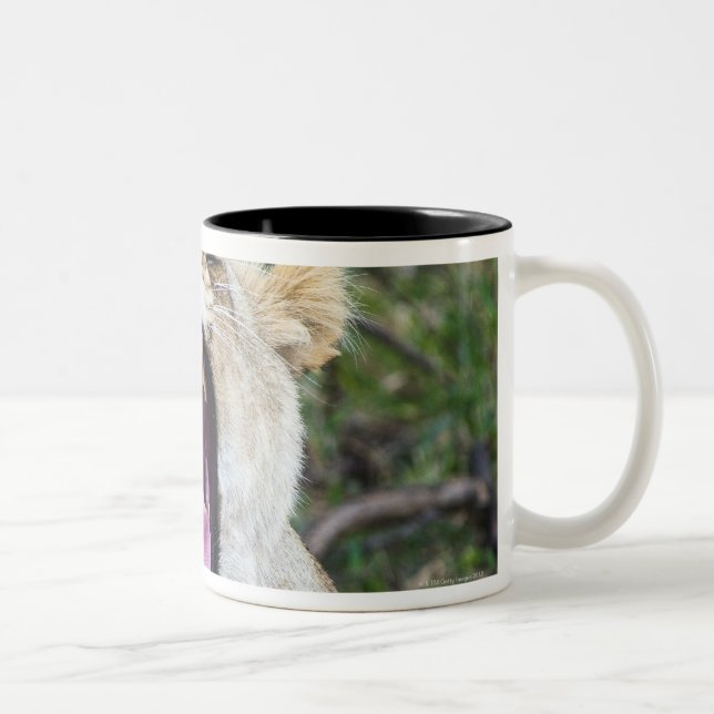 Caneca De Café Em Dois Tons Leão fêmea (Panthera leo), nacional de Mara do (Direita)