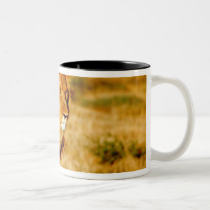 Caneca De Café Em Dois Tons Leão Solitário