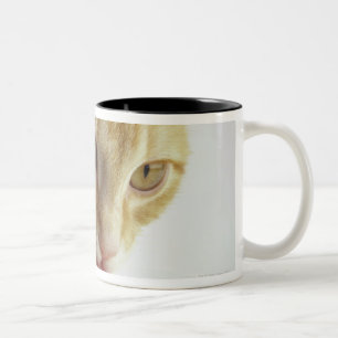 Caneca De Café Em Dois Tons Leite de bebendo do gato