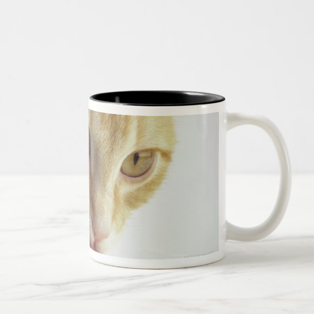 Caneca De Café Em Dois Tons Leite de bebendo do gato (Direita)