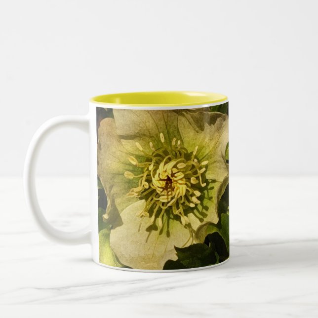 Caneca De Café Em Dois Tons Lenten Rosa Hellebore (Esquerda)