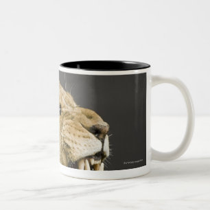 Caneca De Café Em Dois Tons Leoa que ruje 2