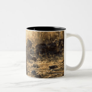 Caneca De Café Em Dois Tons Leopardo africano nos pés traseiros, Namíbia,