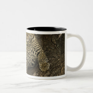 Caneca De Café Em Dois Tons Leopardo Africano, Panthera pardus