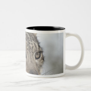 Caneca De Café Em Dois Tons Leopardo de neve (uncia de Uncia) 2