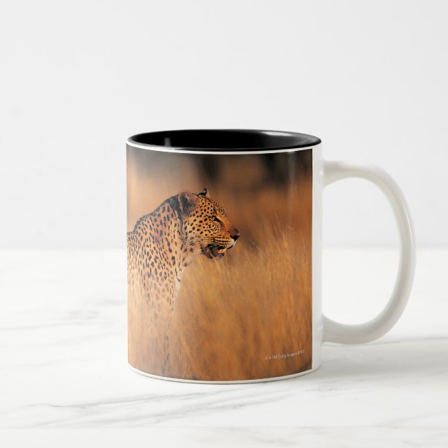 Caneca De Café Em Dois Tons Leopardo (pardus do Panthera) (Direita)