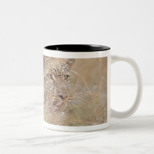 Caneca De Café Em Dois Tons Leopardo Prowling que esconde na pastagem