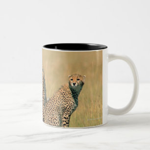 Caneca De Café Em Dois Tons Leopardos que olham afastado