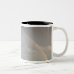 Caneca De Café Em Dois Tons Letônia, Nordeste da Letônia, Região de Vidzeme, 5
