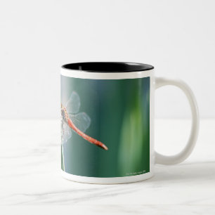 Caneca De Café Em Dois Tons Libélula