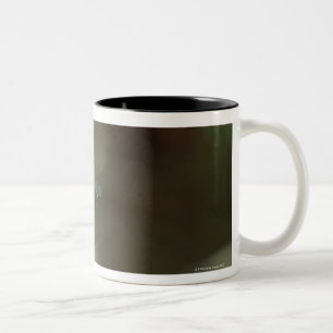 Caneca De Café Em Dois Tons Libélula 5