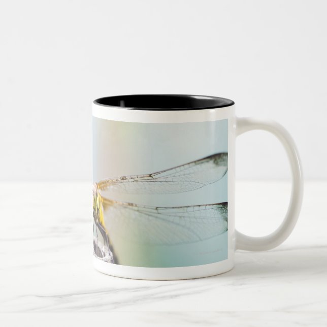 Caneca De Café Em Dois Tons Libélula (infuscatum de Sympetrum) 2 (Direita)