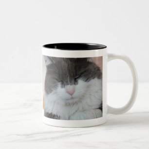 Caneca De Café Em Dois Tons Lição aprendida da cauda de gato