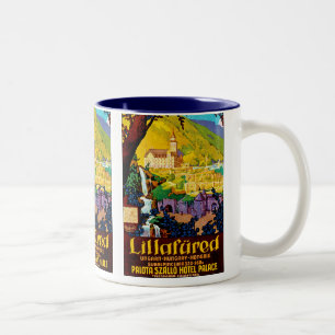 Caneca De Café Em Dois Tons Lillafured Hungria